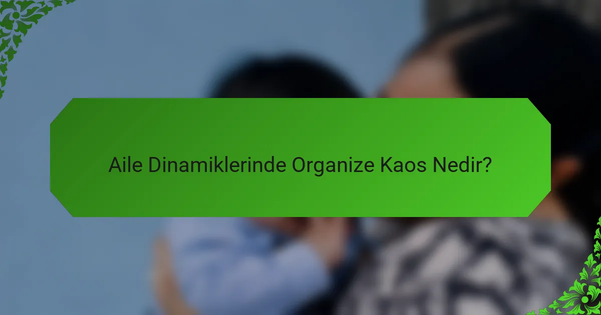 Aile Dinamiklerinde Organize Kaos Nedir?