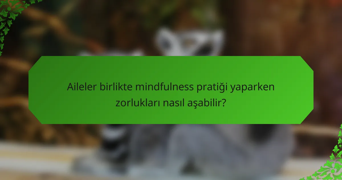 Aileler birlikte mindfulness pratiği yaparken zorlukları nasıl aşabilir?