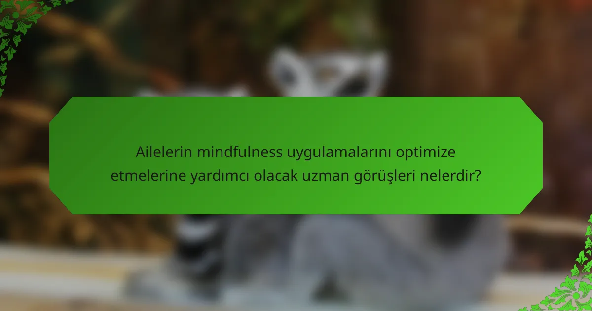 Ailelerin mindfulness uygulamalarını optimize etmelerine yardımcı olacak uzman görüşleri nelerdir?